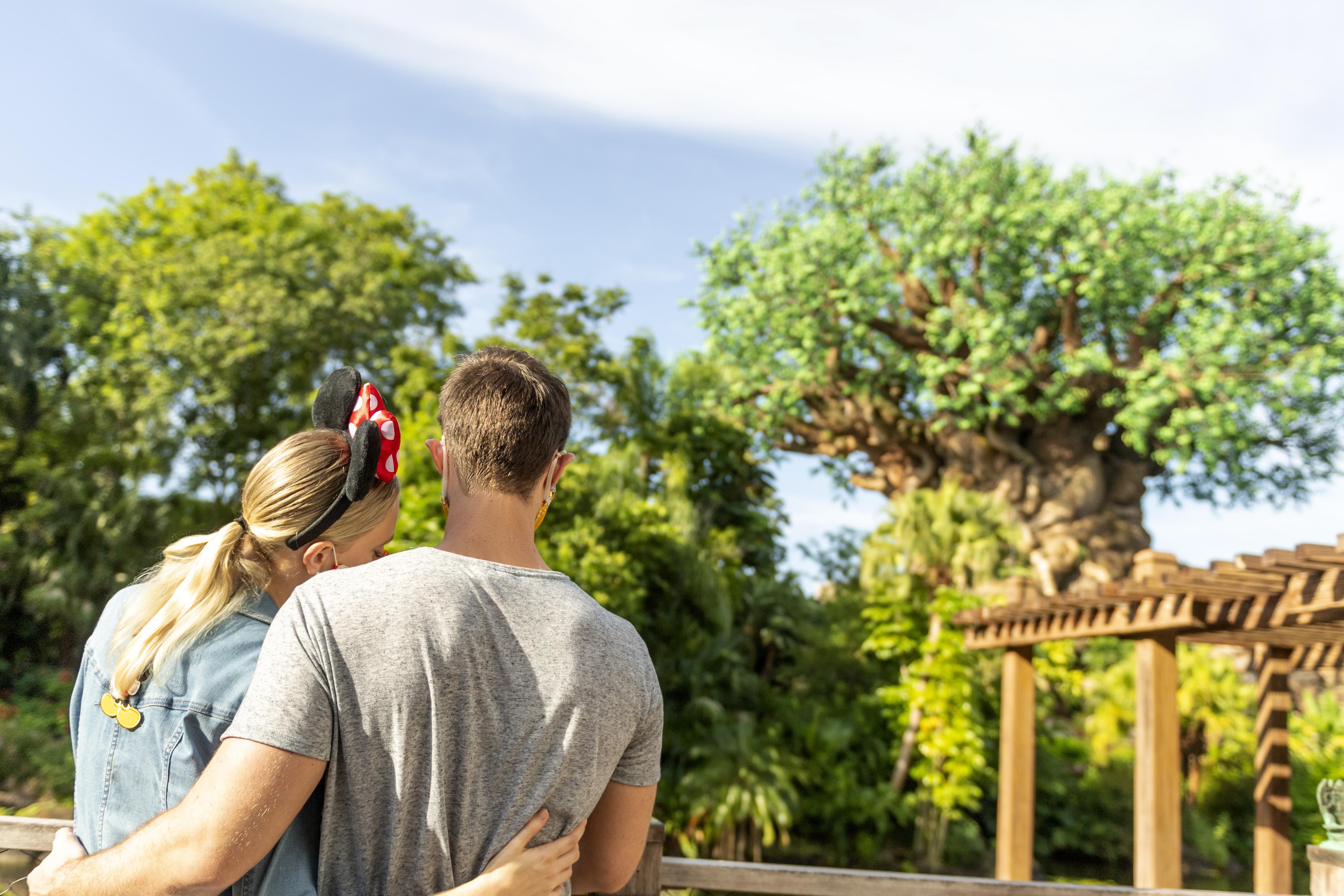 Boulder Ridge Villas At Disney'S Wilderness Lodge Лейк Буена Віста Екстер'єр фото